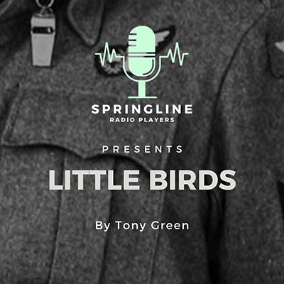 Little Birds - Springline Radio Players